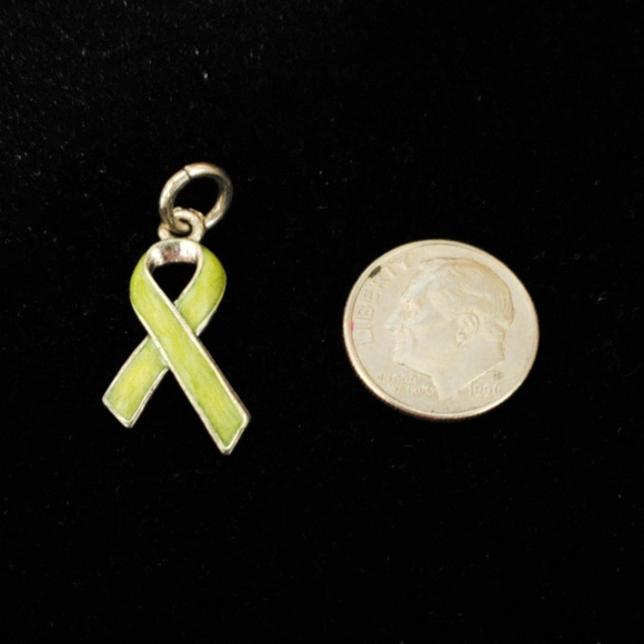 Beaucoup Designs Lymphoma Cancer Ribbon Charm - Picture 2 of 2